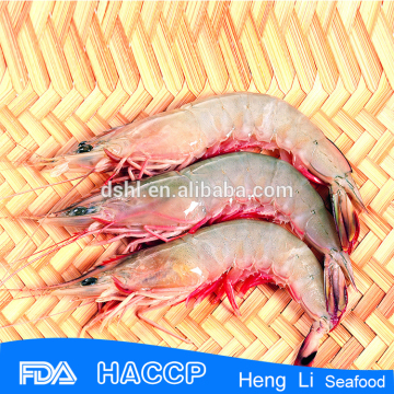 HL002 sea catch crystal red shrimp