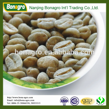 chinese arabica coffee beans