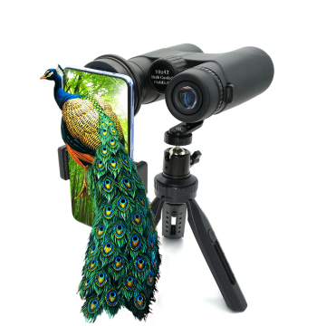10x42 HD Prism Binoculars Compact Portable Telescope for Bird Watching