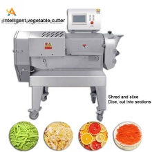 Multifunction Automatic Vegetable Slicing Machine