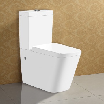 Unique Design Two Piece Toilet