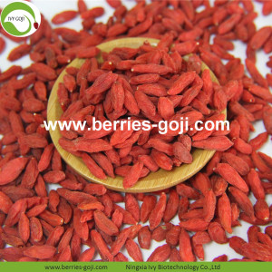 Bacche di Goji