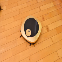 Home Cleaning Route Planning Vacuum Cleaner Robot