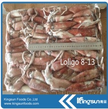 Loligo squid whole round