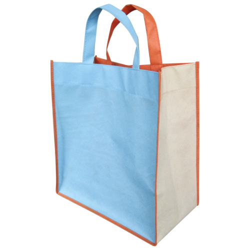 Non-Woven Shopping Hand Bag (DSCF1153)