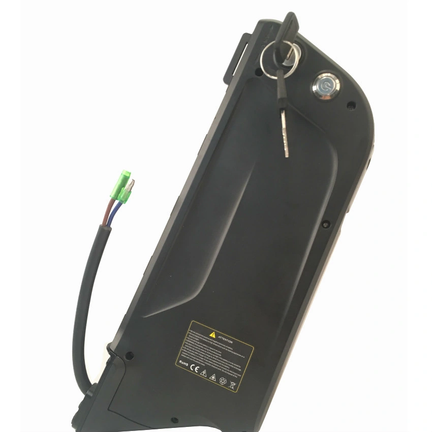 Reliable Electric Bike 48V Battery Reliable Electric Bike 48V Battery