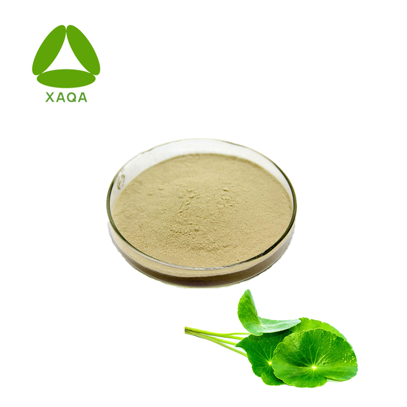 Gatu kola extract extract triterpenes 20%