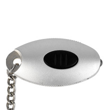 Classic LED small fish keychain small flashlight hand grip zipper DIY gift flashlight