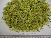 AD cabbage popular in Europe and USA