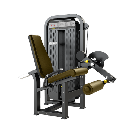 Équipement de fitness de gym Machine d&#39;extension de jambe assise