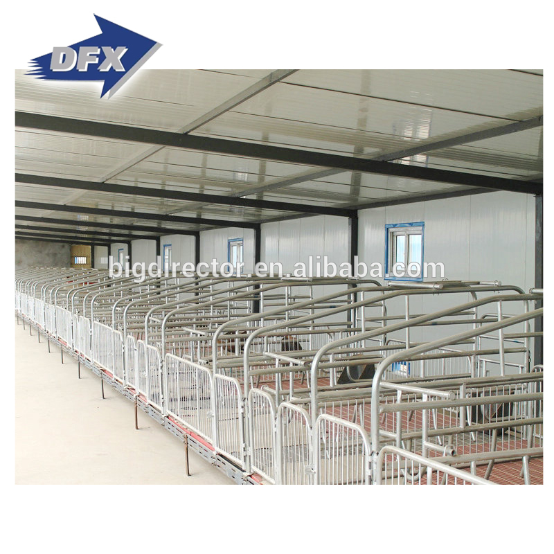 China low cost prefabricated light steel structure frame piggery farm poultry pig shed