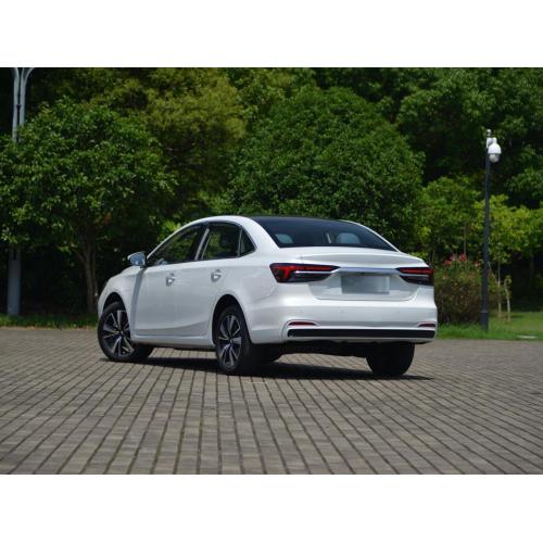 2023 Chinese New Brand Rising Auto EV Small Electric Car EU VERSION with EEC