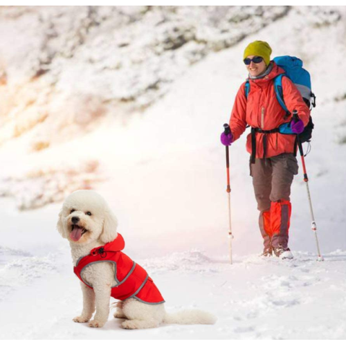 Große Hundejacke Hoodie