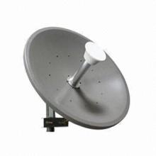 MIMO Dual Polarization Dish Antenna