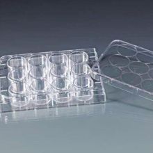 Sterile laboratory Cell Tissue Culture Plate