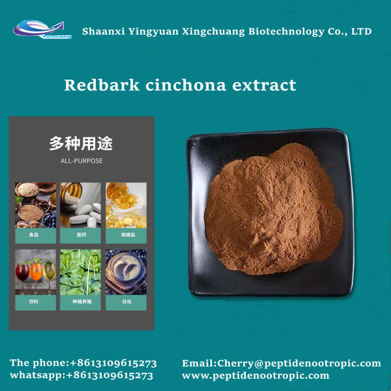 cinchona bark powder benefits