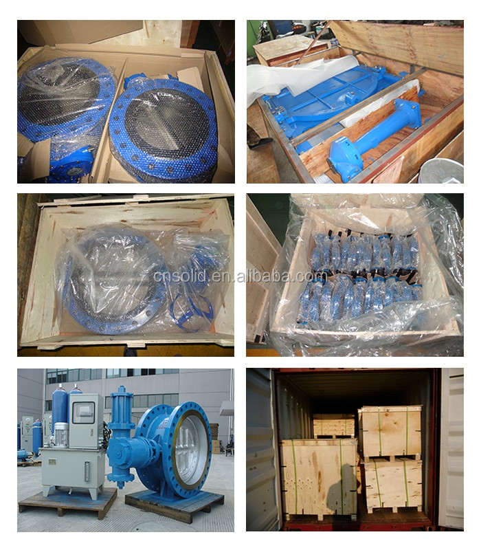 Worm Gear Double Flanged Center Line Resilient Seated Butterfly Valve