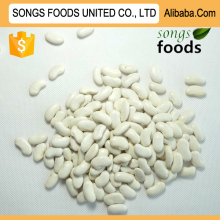 Kidney Beans High Protein White Kidney Beans