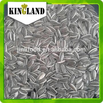 5009 bulk sunflower seeds