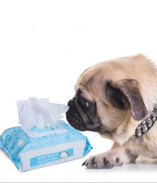 Wholesale Daily Cleaning Pet Use Wet Wipes