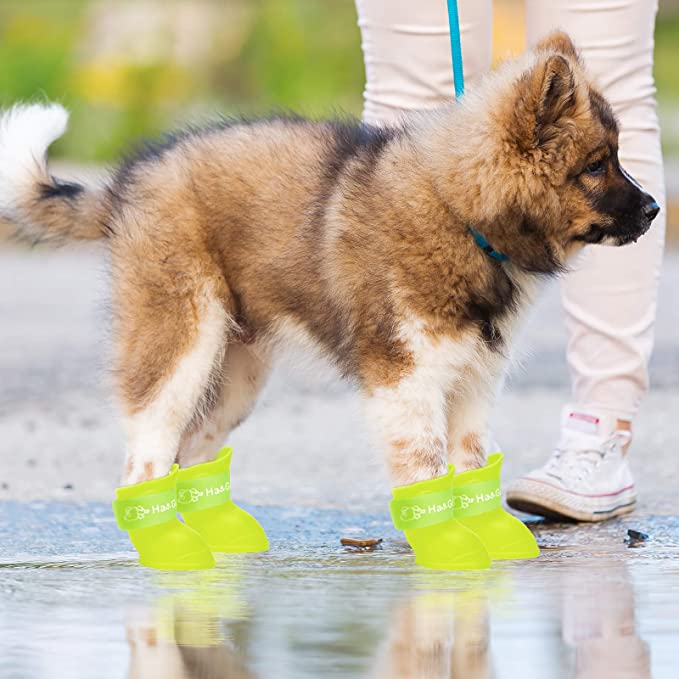 Hunde-Regenstiefel. Dog Rain Boots
