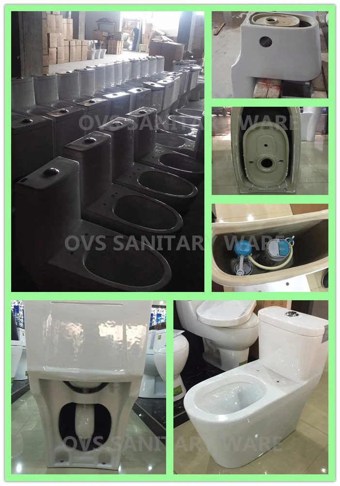 Two Piece Porcelain Sanitary Ware Water Closet Ceramic Toilet