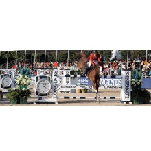Supplier of Longines Master FEI Standard Equestrian Obstacle Poles - Show Jumping Poles in Aluminum/Wood/HDPE