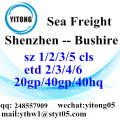 Shenzhen Logistics Agent to Bushire