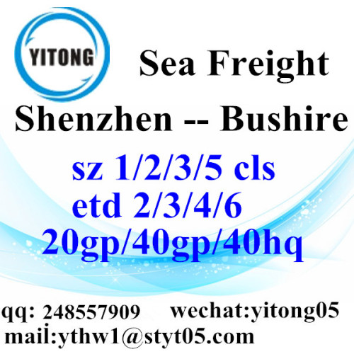 Shenzhen Sea Fregiht shipping to Bushire