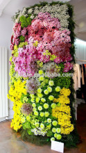 romantic and real touch flower wall wedding wholesale plastic wall flower decoration