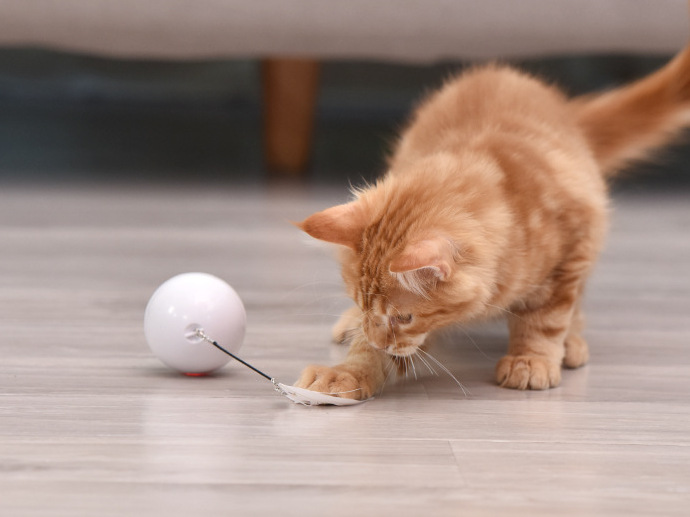 Amazon Popular Promotion USB Charging 360 Degree Auto-rotating Cat Toy Ball Interactive Smart Pet Supplies