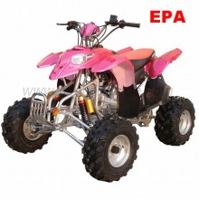 110cc EPA / DOT ATV (TPATV110-CD-7)