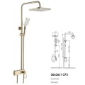 Gold Exposed Shower system with shower head