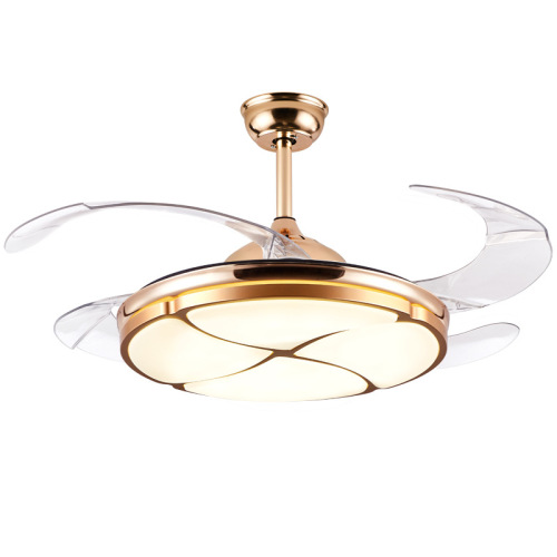 LEDER Hunter Ceiling Fans With Lights