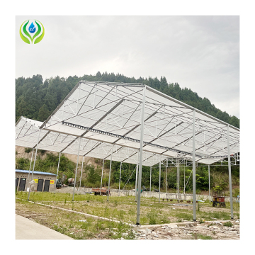 MYXL Tree Greenhouse: A-Frame Structure Retractable Greenhouse for Tree Nurseries