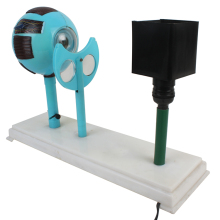 48x17x34mm Biology: Human Anatomical Eye Model for School Education