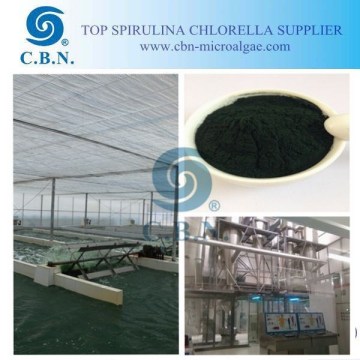 Natural Spirulina Powder