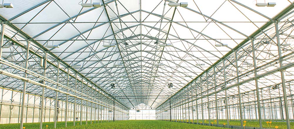 Serra agricola agricola di prezzi di fabbrica facilmente installata