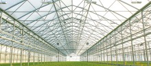 Factory Price Easily Installed Agricultural Greenhouse