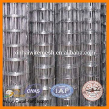 Hot sale!!! 1/2x1/2 galvanized welded wire mesh (ISO9001)