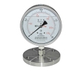Wear-resistant Stainless Steel Pressure Gauge