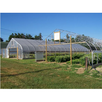 Invernadero de película plástica más vendido para agricultura de flores