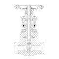 Ditempa baja Gate Valve (SW/Threaded End)