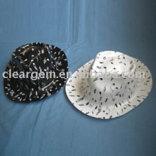 plastic hat