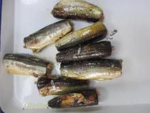 Tall Can Sardine Fish 425g