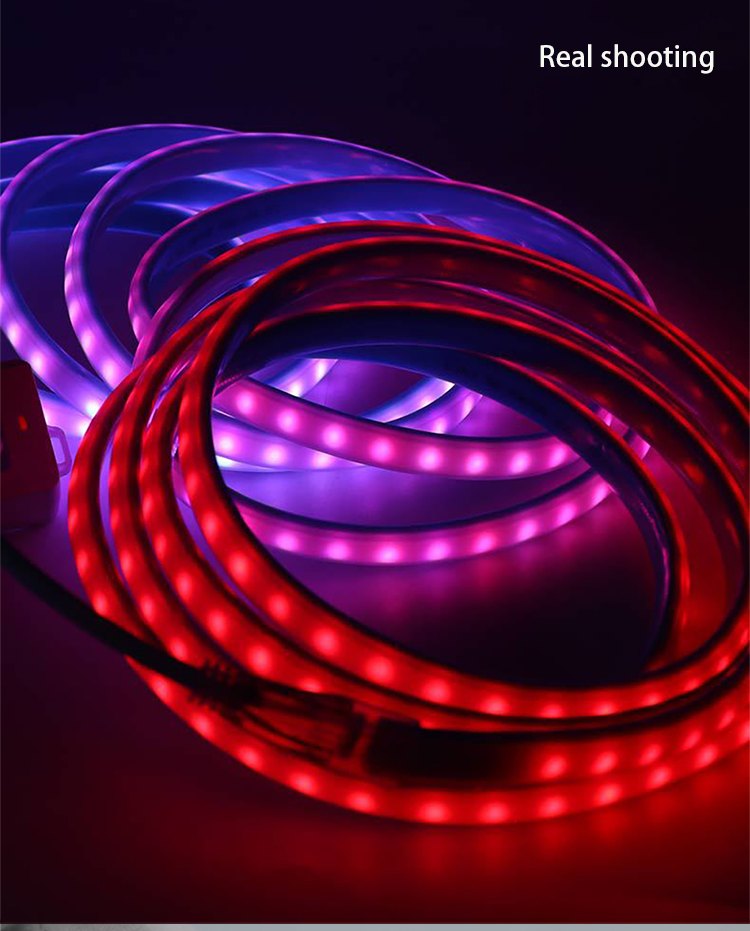 220V RGBIC water running neon light strip Rgbw Neon Led Rope Light Strip