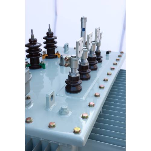 S13 Electric distribution transformer