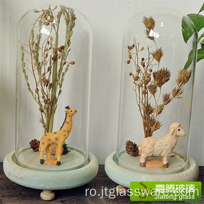 Borcane decorative din sticlă transparentă/Dom pentru terariu pentru plante