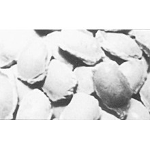 Caustic Calcined Magnesite Briquettes