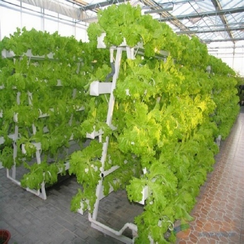 Commercial Hydroponic System NFT Channel System